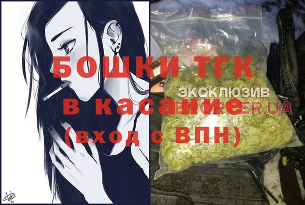сатива Армянск